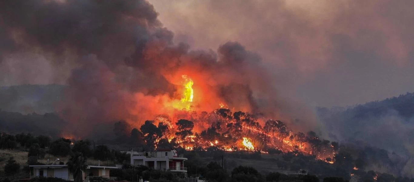 Συγκλονιστικές εικόνες από την φωτιά στο Σχίνο - Το αποτύπωμα της οικολογικής καταστροφής (βίντεο)
